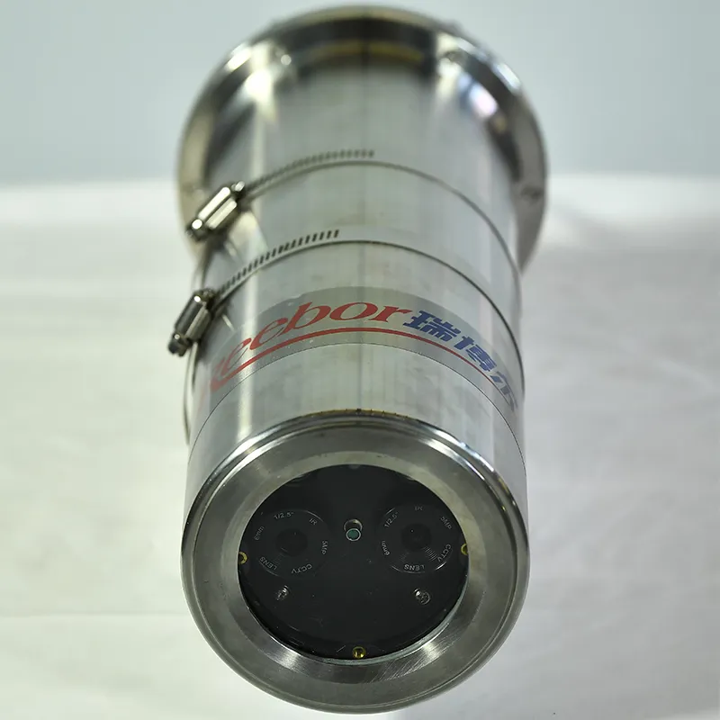 VFD-RBR06-2 (Основная модель) Взрывозащищенный (2)